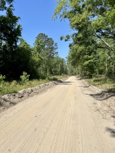 Four Acres Plus Utilities & Rv Hookup For Sale In Jasper, Fl - image 3