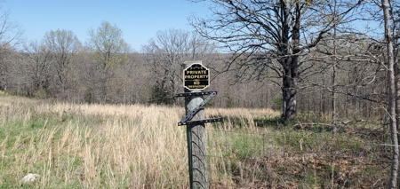 Secluded Land for Sale in Douglas County Missouri - image 1