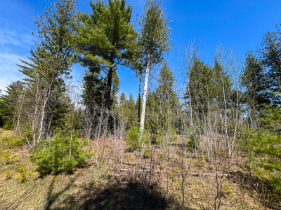 Off-Grid Log Cabin Retreat on 65± Acres - image 31