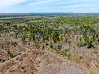 Off-Grid Log Cabin Retreat on 65± Acres - image 8