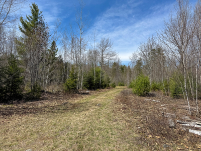 Off-Grid Log Cabin Retreat on 65± Acres - image 26