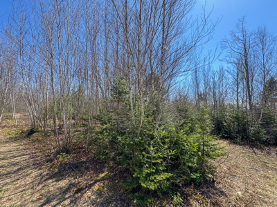 Off-Grid Log Cabin Retreat on 65± Acres - image 27