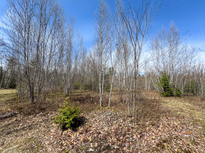 Off-Grid Log Cabin Retreat on 65± Acres - image 28
