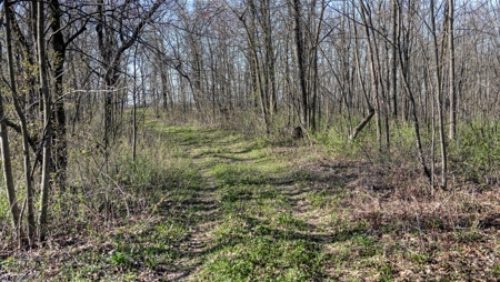 Premium 32+/- Acre Parcel in La Crosse County WI - image 4