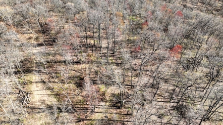 Premium 32+/- Acre Parcel in La Crosse County WI - image 13