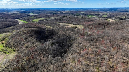Premium 32+/- Acre Parcel in La Crosse County WI - image 15
