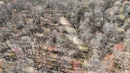 Premium 32+/- Acre Parcel in La Crosse County WI - image 14