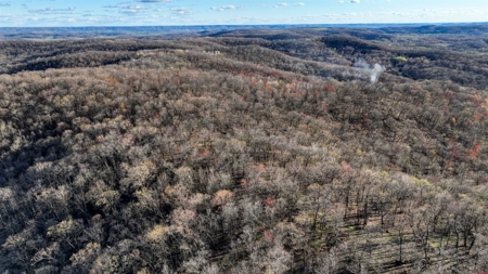 Premium 32+/- Acre Parcel in La Crosse County WI - image 9