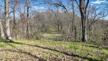 Premium 32+/- Acre Parcel in La Crosse County WI - image 22