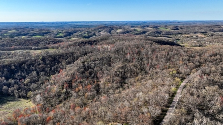 Premium 32+/- Acre Parcel in La Crosse County WI - image 8