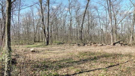 Premium 32+/- Acre Parcel in La Crosse County WI - image 7