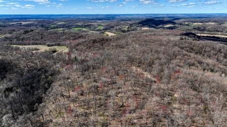 Premium 32+/- Acre Parcel in La Crosse County WI - image 16