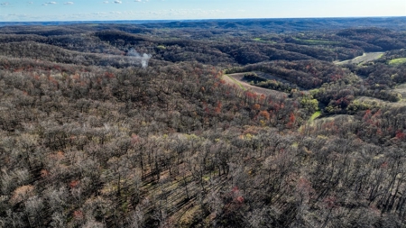 Premium 32+/- Acre Parcel in La Crosse County WI - image 12