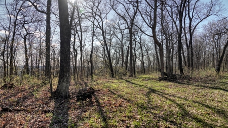Premium 32+/- Acre Parcel in La Crosse County WI - image 5