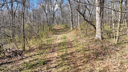 Premium 32+/- Acre Parcel in La Crosse County WI - image 21