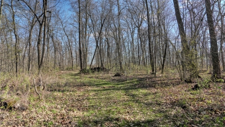 Premium 32+/- Acre Parcel in La Crosse County WI - image 23