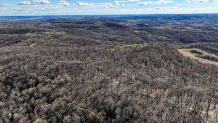 Premium 32+/- Acre Parcel in La Crosse County WI - image 19