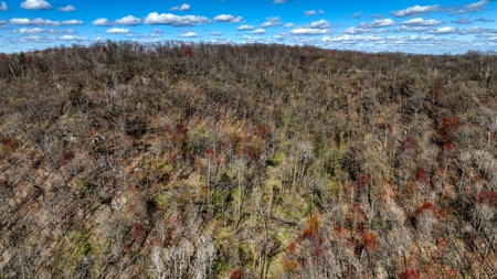 Premium 32+/- Acre Parcel in La Crosse County WI - image 3