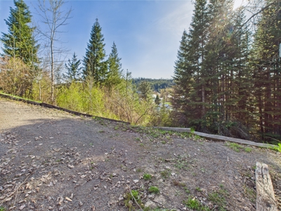 Secluded Mountain Home with Year-Round Recreation in Pierce, ID - image 20