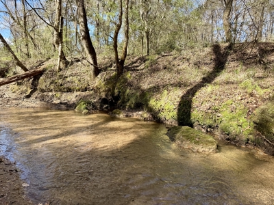 59+/- Acres of land with Quonset hut barn, Chancellor, Alabama - image 30