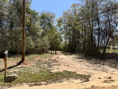 59+/- Acres of land with Quonset hut barn, Chancellor, Alabama - image 5