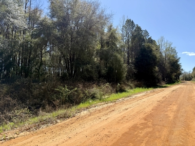59+/- Acres of land with Quonset hut barn, Chancellor, Alabama - image 28