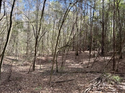 59+/- Acres of land with Quonset hut barn, Chancellor, Alabama - image 33