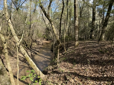 59+/- Acres of land with Quonset hut barn, Chancellor, Alabama - image 32