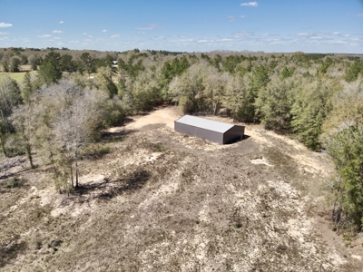 59+/- Acres of land with Quonset hut barn, Chancellor, Alabama - image 19