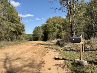 59+/- Acres of land with Quonset hut barn, Chancellor, Alabama - image 7