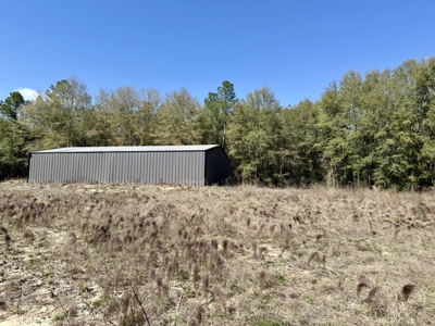 59+/- Acres of land with Quonset hut barn, Chancellor, Alabama - image 24