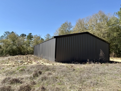 59+/- Acres of land with Quonset hut barn, Chancellor, Alabama - image 22