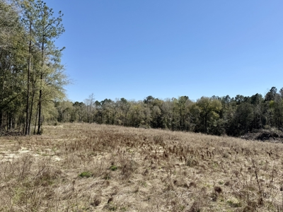 59+/- Acres of land with Quonset hut barn, Chancellor, Alabama - image 23