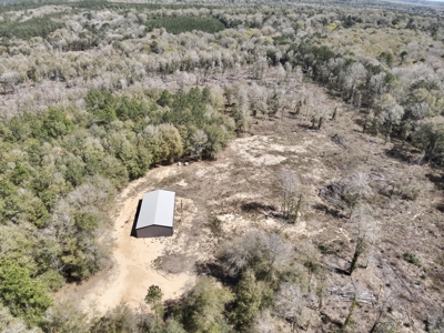 59+/- Acres of land with Quonset hut barn, Chancellor, Alabama - image 3