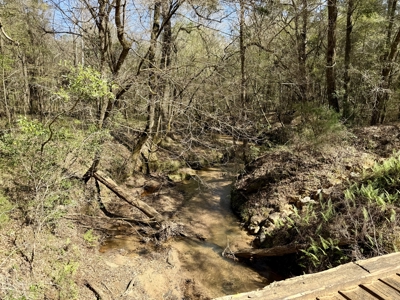 59+/- Acres of land with Quonset hut barn, Chancellor, Alabama - image 27