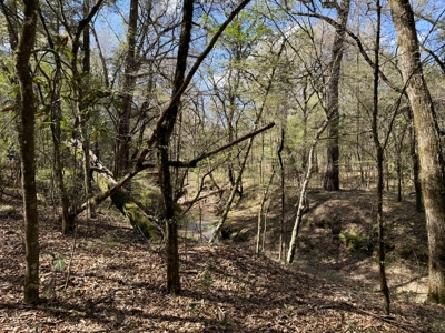 59+/- Acres of land with Quonset hut barn, Chancellor, Alabama - image 34