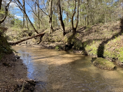 59+/- Acres of land with Quonset hut barn, Chancellor, Alabama - image 29