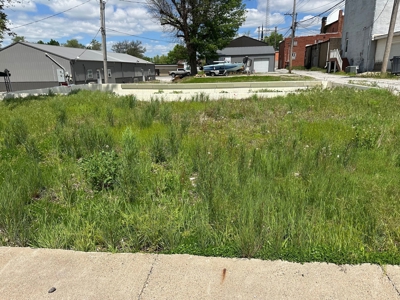 Vacant Lot in Edina, MO!  Knox County Missouri - image 2