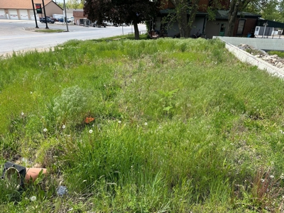 Vacant Lot in Edina, MO!  Knox County Missouri - image 3