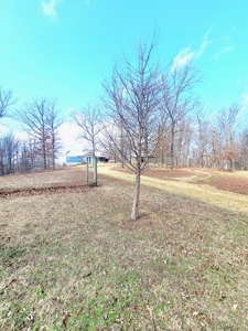 Lakefront Property Country Homes With Acreage For Sale - image 41