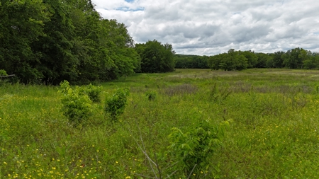 Land for Sale SE Oklahoma Leflore County, Oklahoma - image 2