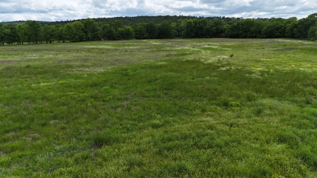 Land for Sale SE Oklahoma Leflore County, Oklahoma - image 14