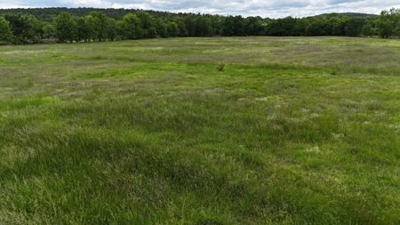 Land for Sale SE Oklahoma Leflore County, Oklahoma - image 17