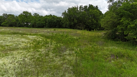 Land for Sale SE Oklahoma Leflore County, Oklahoma - image 3