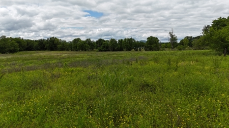 Land for Sale SE Oklahoma Leflore County, Oklahoma - image 1