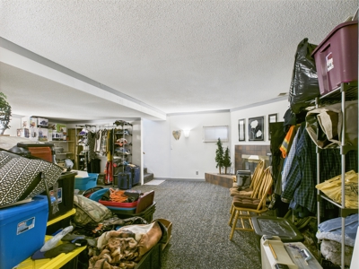 Dual Living in the Country: Two Homes, One Beautiful Property - image 19