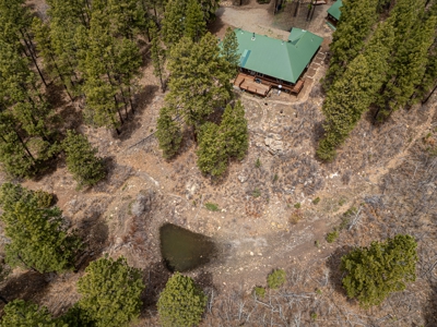 Secluded Log Home in Pines on 35 Private Acres - image 21