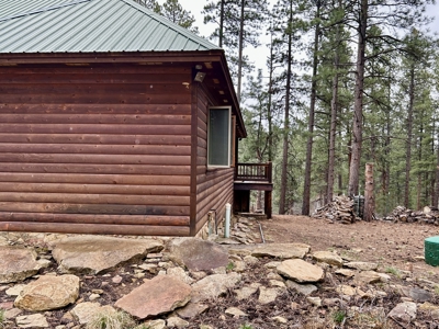 Secluded Log Home in Pines on 35 Private Acres - image 28