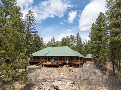 Secluded Log Home in Pines on 35 Private Acres - image 2