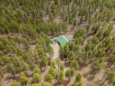 Secluded Log Home in Pines on 35 Private Acres - image 23